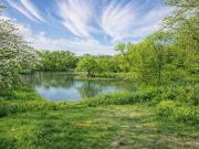 3117 W Division St, Arlington, TX 76012