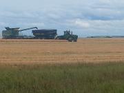 311 Acres Of Prime Grain Farmland