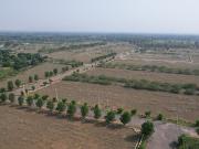 311 Sq.Yd. Plot in Bhogapuram Vizag Listing ID #9649