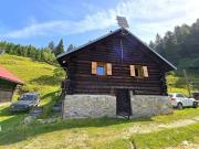 31/2 Zimmer Rustico an sehr ruhiger, sonniger...