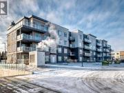 316, 200 Shawnee Square Sw, Calgary, AB, T2Y 0T7 condo...