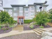 3170 Pierview Crescent, Vancouver, BC, V5S 0A9 townhouse...