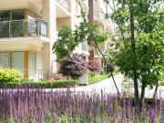 319 The Elm, Trimbleston, Goatstown, Dublin 14 DNG...