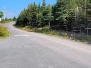 31 37 Branton'S Hill, Heart'S Delight, NL, A0B...