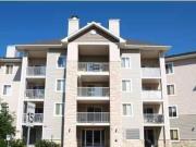 3203 16320 24 St SW Apartments for Rent 16320 24 St Sw...