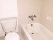 3239 Bishop Street Studio Apartment for Rent at 3239...