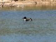 328 Lake Powell Dr, Laredo, TX 78043 [Updated 12/31]