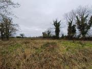 32ha /. 79ac Site, Kinreask, Gurteen, Ballinasloe,...