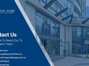 330 Burnhamthorpe Rd W 1601 Mississauga ON L5B 0E1 1...