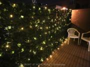 330 Richmond Street W #210