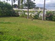 330 Sqm Residential Lot for sale in Alabang West for...
