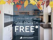 3311 Bathurst Street 1 Bedroom Apartment for Rent at...