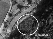 33/2016 2 BS terreno boschivo a Pian Camuno