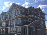 3321 119A Street Southwest Basement Edmonton AB T6W 0E2...