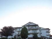 33467 Bevan Avenue Abbotsford BC V2S 3N7 1 Bedroom...