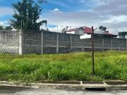 334 sqm Lot for Sale in Alabang West Village in Las...