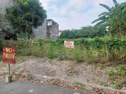 335sqm Vacant Residential Lot in Angela Village, Las...