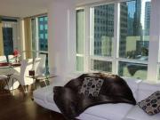 33 Bay Street 1112 Toronto ON M5J 2Z3 2 Bedroom Condo...