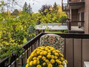 33 Hasting 2 Bedroom Apartment for Rent at 33 Rue...