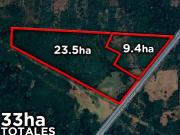 33 HECTÁREAS EN VENTA EN MATA DE PITA VERACRUZ | ARLETTE...