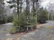 3410 Old Guysborough Road, Devon, NS, B2T 1K8 vacant...