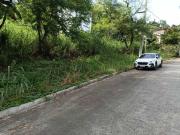 342 sqm Residential Lot for sale at Sun Valley Estates,...