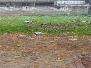 343 Sq.Mt. Plot in New Moradabad Listing ID: #10281