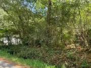 3449 HONEYCUTT RD # 123, ADAMSVILLE, AL 35005