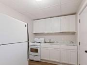 345 LUTZ 1 BED DOWNTOWN RENOVATED AVAILABLE JULY 1ST