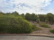 345 m2 apartment for rent in Marratxí