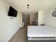 34 en Arriendo en CERCANO A ESTACIONES DE METRO TOESCA Y...