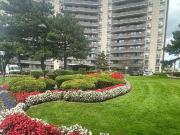 34 Leith Hill Rd 1 Bedroom Apartment for Rent