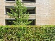 34 m2 apartment for rent in Zürich Distrikt 9