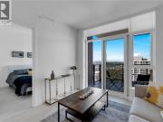 3505 537 COTTONWOOD AVENUE