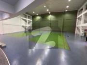 350 sq yd independent house available for rent at new...