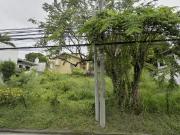 350 sqm Residential Lot FOR SALE in 87 Concha Cruz...