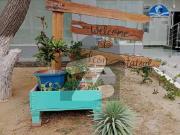 350 Square Yards Old Bungalow For Sale At Falcon Faisal