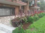 359 Elgin Court 5 Oshawa ON L1J 2P4 2 Bedroom Apartment...