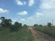 350 ha Commercial Farm in Dinokeng