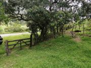 35.8 HECTAREAS DE BOSQUE ARROYOS A BORDO DE CARRETERA EN...