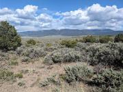 35 Acres Elk Park Rd, San Luis, CO 81152