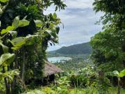 3609sqm Overlooking lot for sale in Port Barton San...