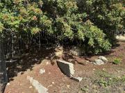 364 Crane Blvd, Los Angeles, CA 90065 | MLS #DW25267 |...