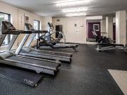 3655 Papineau 3655 Papineau Plan A [object Promise] for Rent