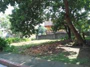 367 sqm Corner Lot for Sale in Tivoli Greens, Quezon City