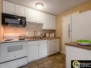 375 Harvard St, Unit #1A 375 Harvard St, Unit #1A