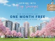 37 Johnson Street 1 Bedroom Apartment for Rent at 37...