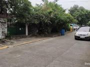 389. 50 sqm Prime Commercial Lot for Sale along Mayon...