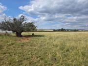 38.2 ha Farm in Elandsfontein AH
