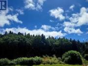 38 Cathill Road, Bay Roberts, NL, A0A 1G0 vacant land...